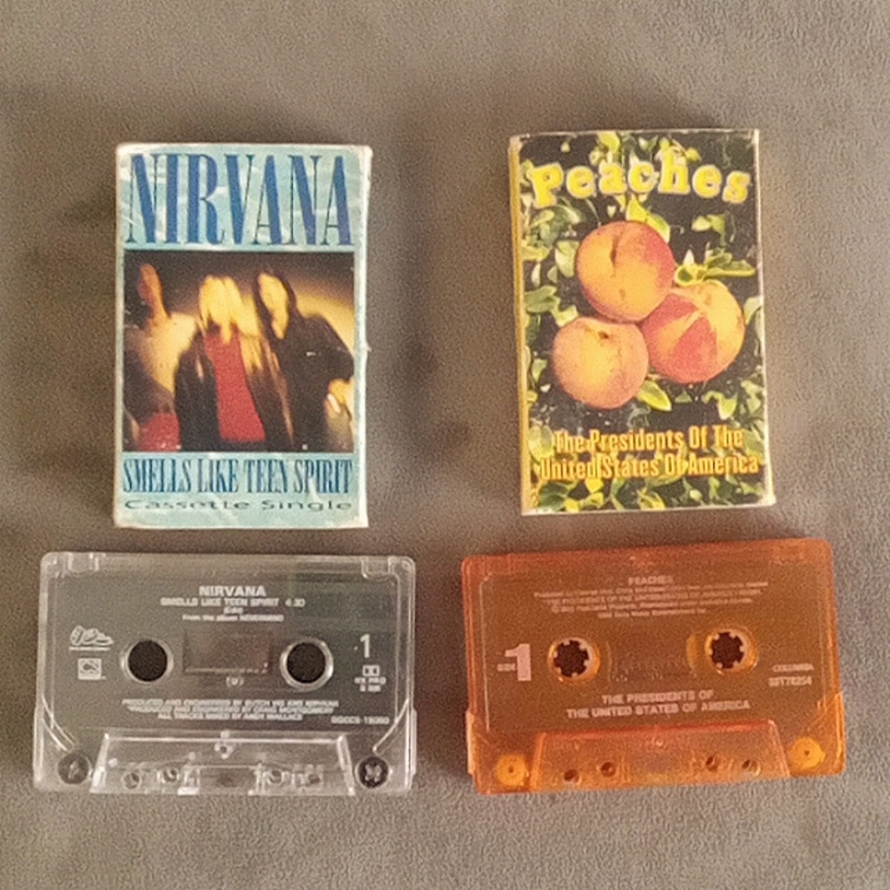 NIRVANA (smells like teen spirit) & PEACHES (The presidents of the USA)
